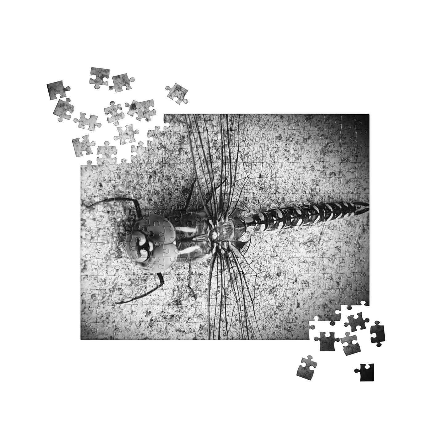 Evangeline Jigsaw Puzzle