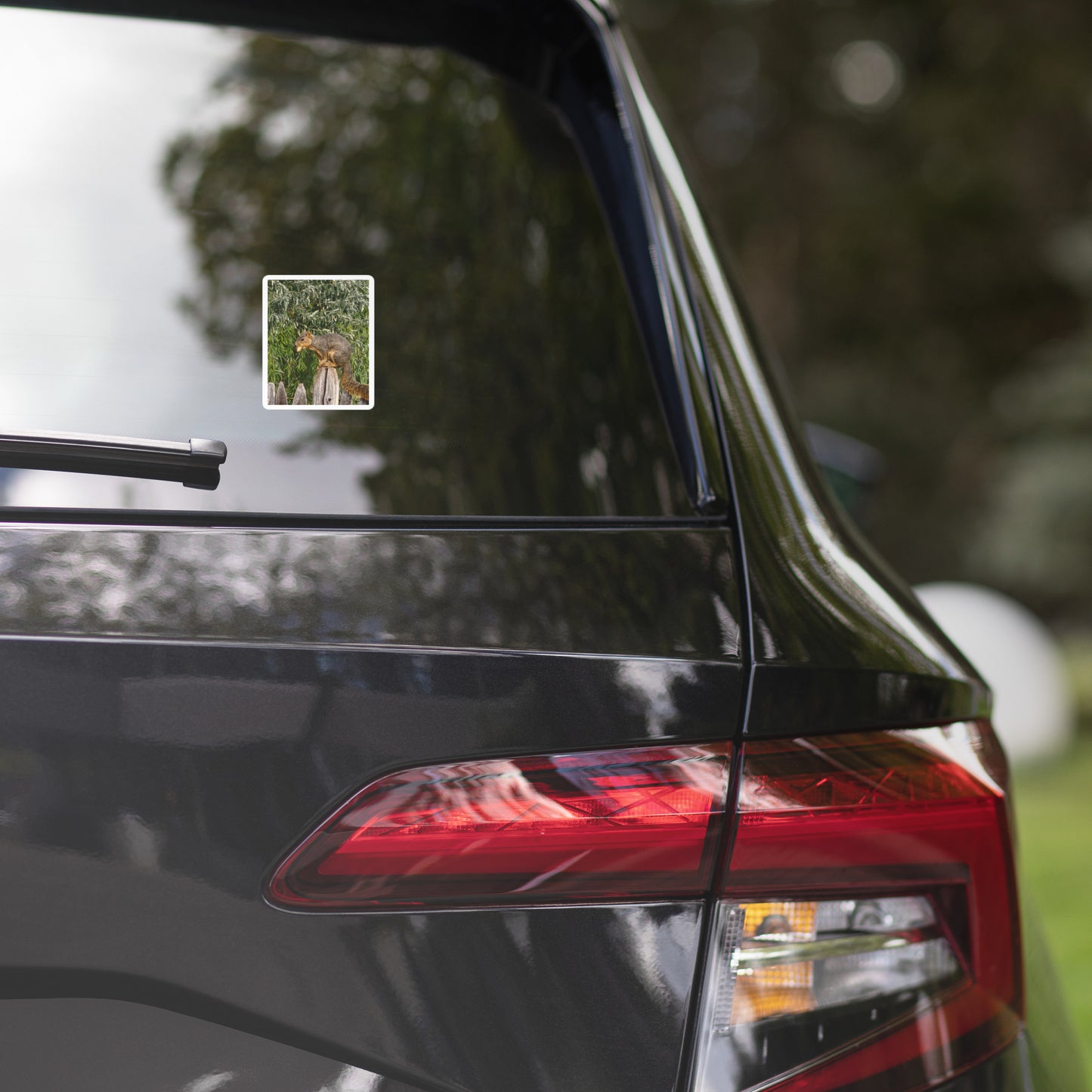 Hungry Squirrel Bubble-free stickers