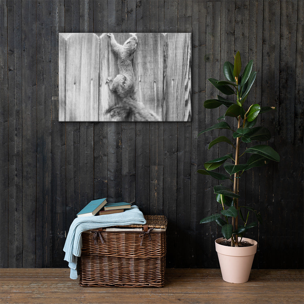 Squirrel Canvas