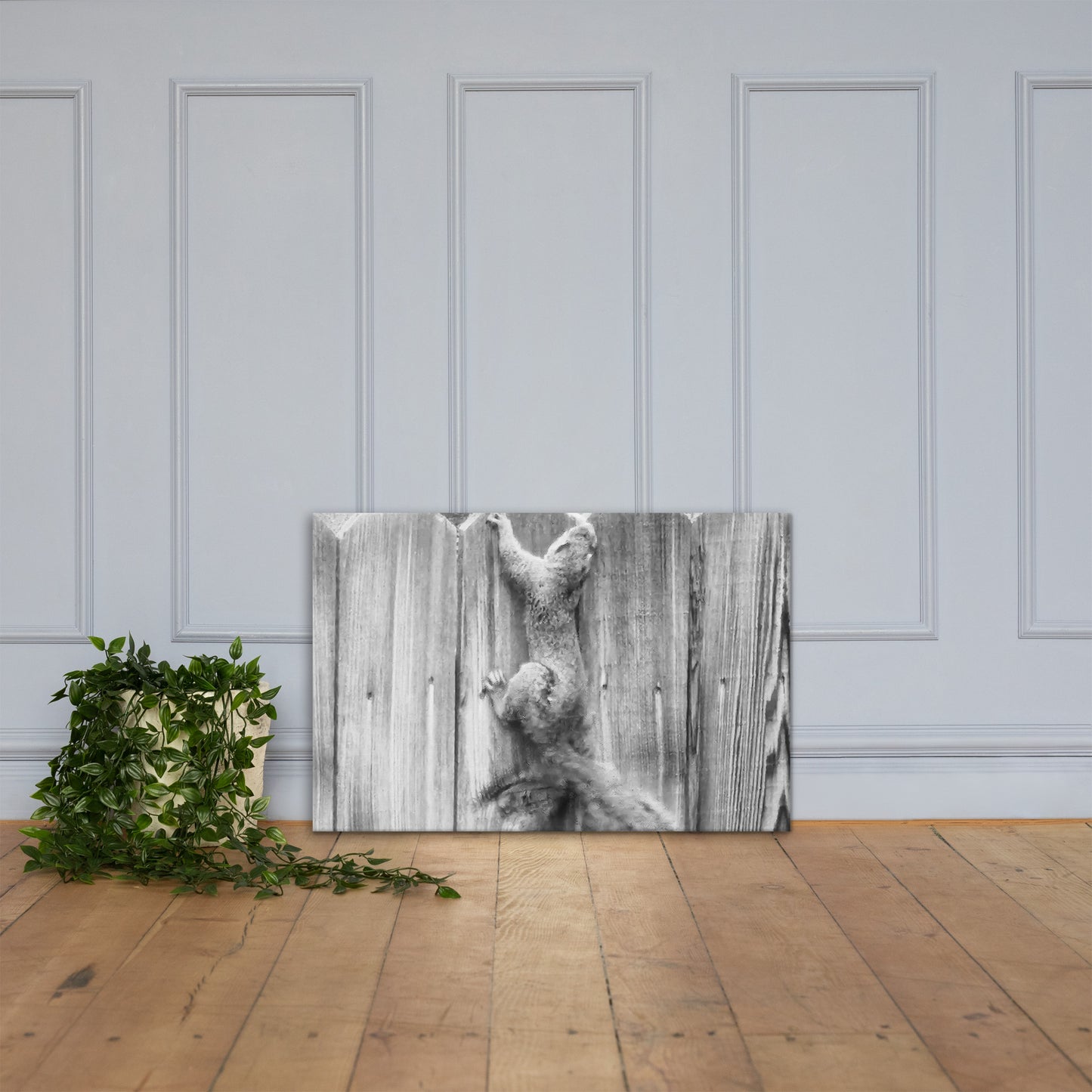 Squirrel Canvas