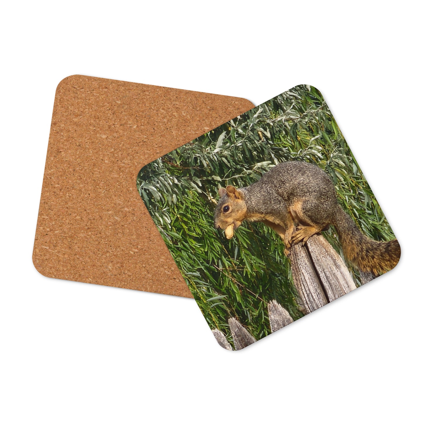 Hungry Squirrel Cork-back coaster